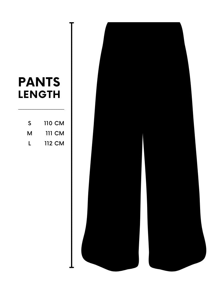 PLAUSIBLE PANTS