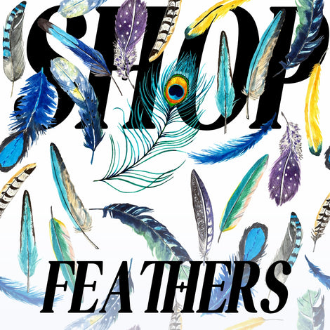 FEATHERS