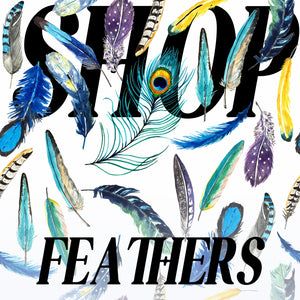 FEATHERS