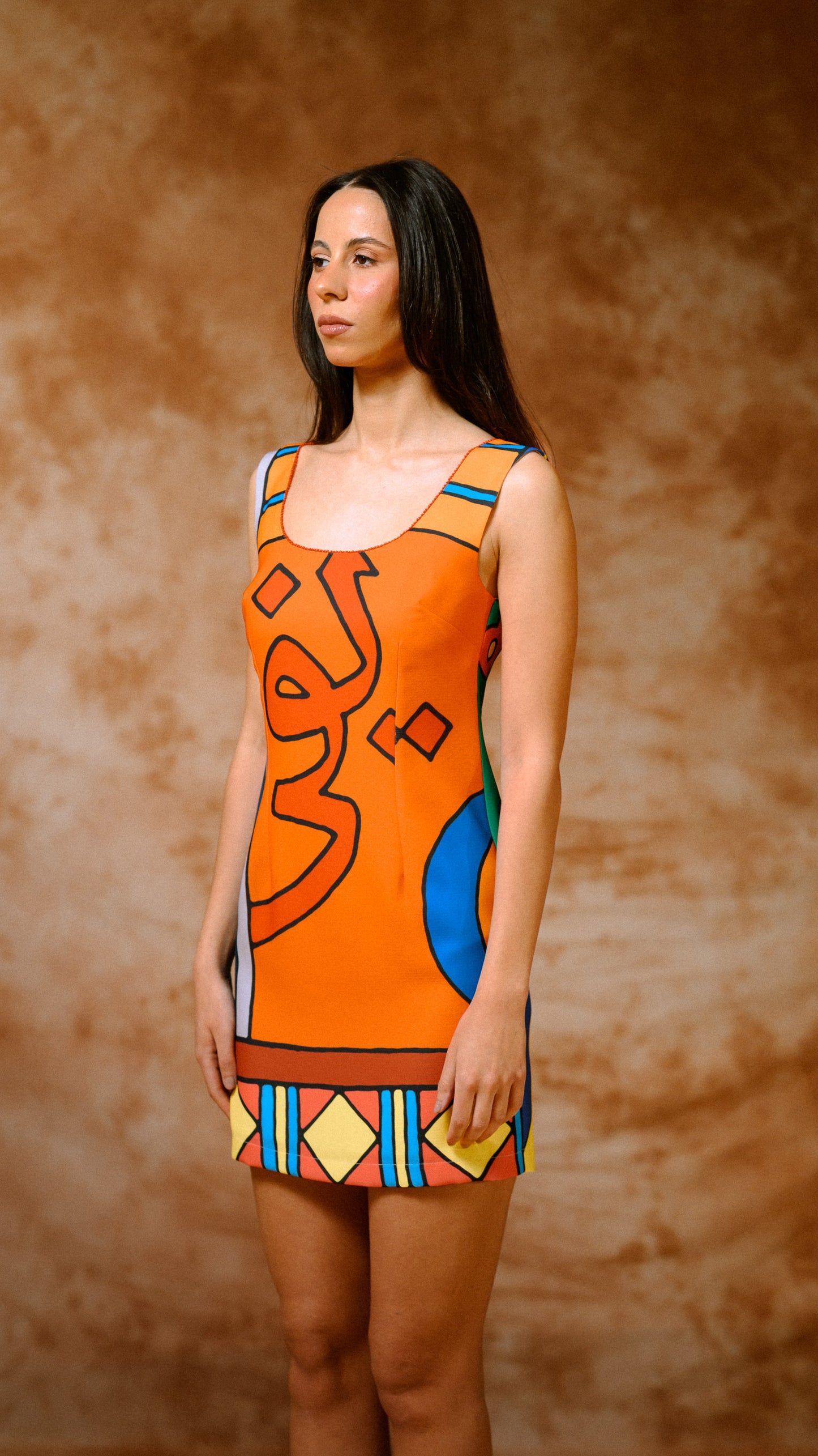 UNABASHED DRESS